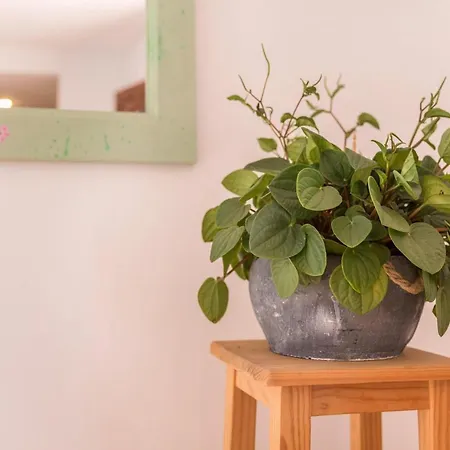 Fuerteventura Harmony Διαμέρισμα Κοραλέχο