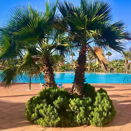 Apartment Fuerteventura Harmony *