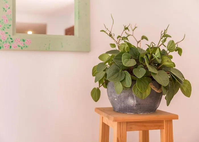 Fuerteventura Harmony Apartmán Corralejo